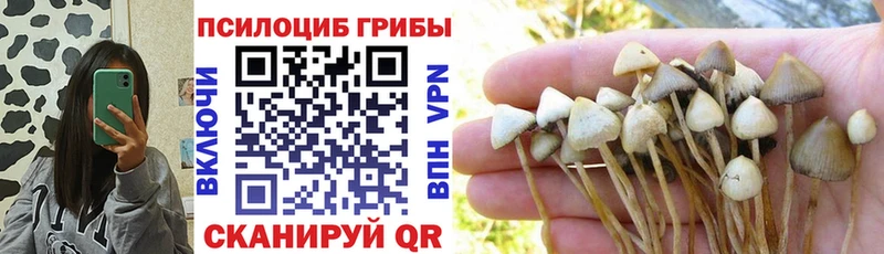 хочу наркоту  Аркадак  Галлюциногенные грибы Magic Shrooms 